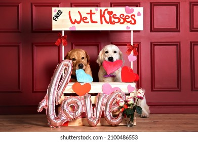 Two Dogs In Kissing Booth Together