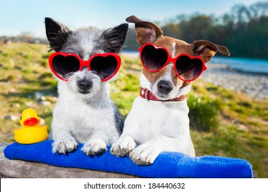 two dogs in love enjoying valentines day outdoors - Powered by Shutterstock