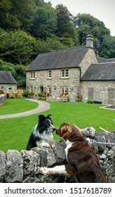 Two Dogs Making Friends In A Beautiful English Village