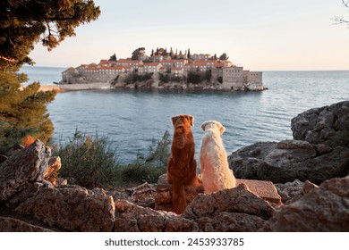 Two dogs, one golden and one cream-colored, sit side by side overlooking a tranquil sea and picturesque coastal village at dusk - Powered by Shutterstock