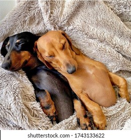 Snuggling Images Stock Photos Vectors Shutterstock