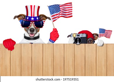 Two Dogs Watching 4th Of July Parade