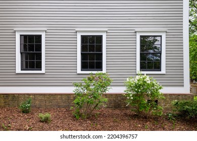 Two double hung windows with black wood frames, multiple panes of glass, in a tan color wooden wall. The wall has narrow clapboard with white trim. There are two green bushes in front of the windows.