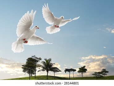 Two Doves Flying With Beautiful Nature Scenic