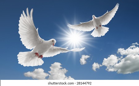 Two Doves Flying With Spread Wings On Sky