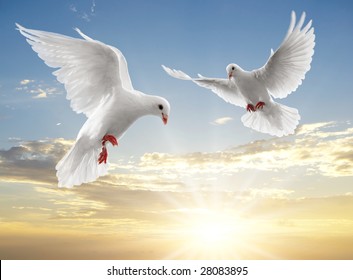 Two Doves Looking Down While Flying On Sky