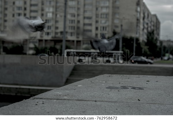 Two doves in the sky in the\
city