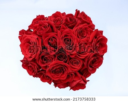two dozen red roses in a circular boquet