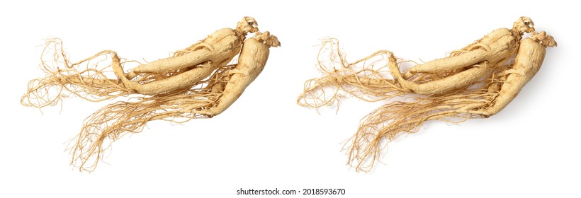 Two dried ginseng roots isolated on white background, top view