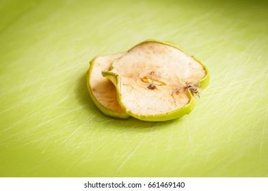 Two Dry Green Apple Slices Stock Image. Dry Fruit, Oxidation Process Concept.