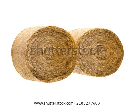  two dryround bale isolated on white background