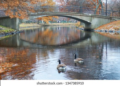 Muddy River 图片、库存照片和矢量图 Shutterstock