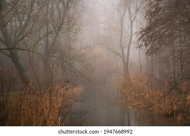 Two Ducks Venturing Into Unknown Waters Together