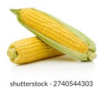 Two ear of corn isolated on a white background