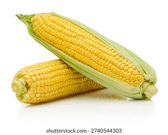 Two ear of corn isolated on a white background