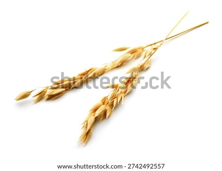 Two ears of oat isolated on white