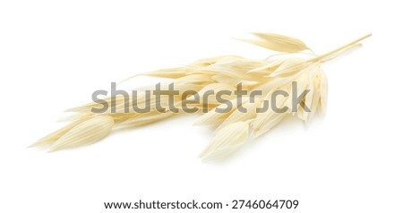 Two ears of oat isolated on white