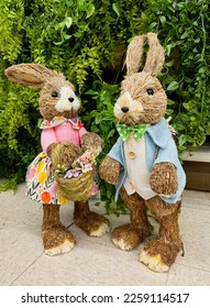 Two Easter bunnies in clothes a boy and a girl