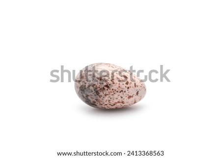 Two eggs of zebra dove birds in brown dry grass nest isolated on white background
