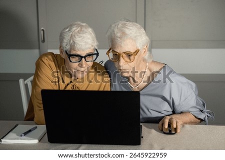 Two elderly sisters study the Internet at home. Modern technologies for the elderly. Computer lessons. Golden age.