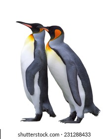 Two Emperor Penguin Isolated Over White 