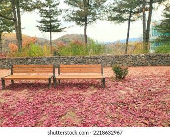 Two Empty Chairs Over The Side Of A Red Fall In The Fall