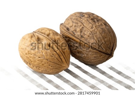 Two Empty Nutshells Isolated on Transparent Background
