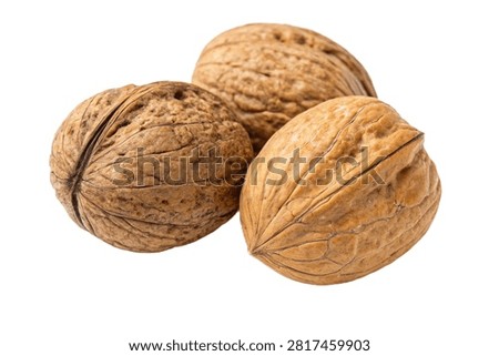 Two Empty Nutshells Isolated on Transparent Background