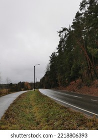 Two Empty Roads Converge On A Rainy Autumn Day With Lamppost And Trees 