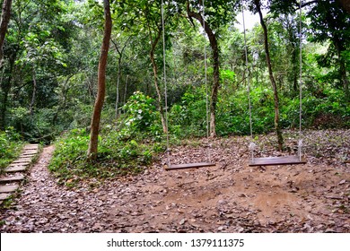 Phong Nha Botanic Garden Images, Stock Photos u0026 Vectors  Shutterstock