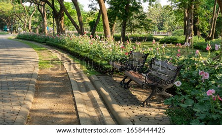 Two empty wooden bench in public garden beside walkway and tropical flowering plant under greenery trees