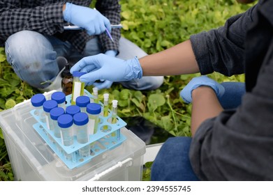 Two Environmental Engineers Inspect Water Quality and Take Water sample notes in The Field Near Farmland, Natural Water Sources maybe Contaminated by Toxic Waste or Suspicious Pollution Sites. - Shutterstock ID 2394555745