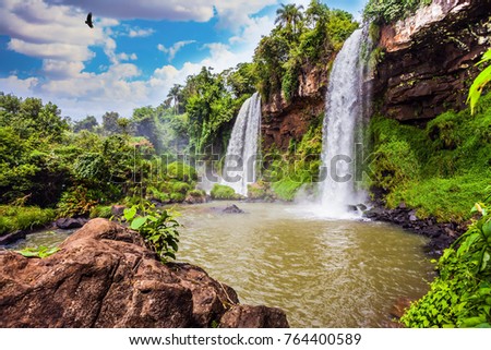  Two fairy powerful waterfalls from Iguazu Falls in Argentina. The Andean condors are circling in the sky above the water. The concept of extreme and ecological tourism