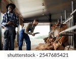 Two farm workers discuss vaccinations and feed selection for cow. Concept farmer lifestyle and industry cattle livestock.