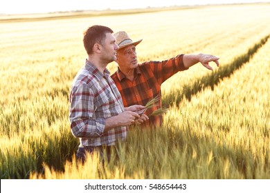 Two farmer standing in a wheat field with tablet, They are examining corp at sunset. - Shutterstock ID 548654443