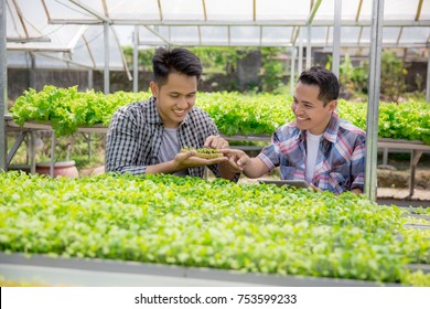 Two Farmer Team Looking At Young Plant In Hydrophonic Farm. Modern Farming Concept