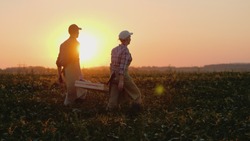 Two Farmers Carry A Heavy Box With Vegetables Across The Field