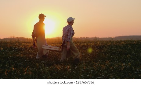 Two farmers carry a heavy box with vegetables across the field