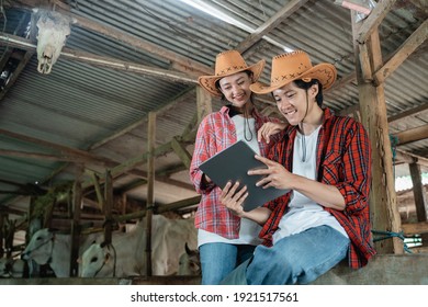 Two Farmers In Casual Clothes Sit By A Wooden Fence While Using A Digital Tablet In The Background Of The Cattle Farm