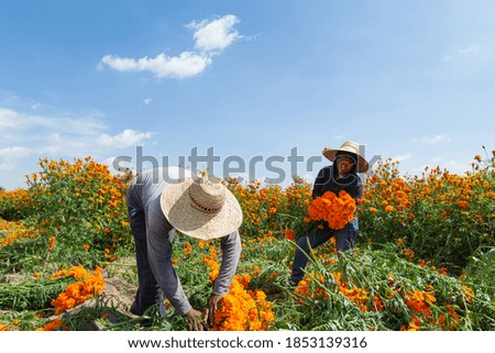 Similar – Foto Bild Landwirtschaftliche Felder in einem Dorf in Spanien.