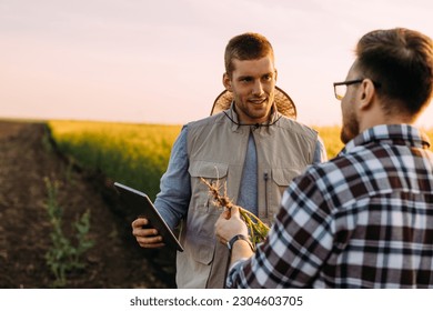 Two farmers are doing root examination on a plant. - Powered by Shutterstock