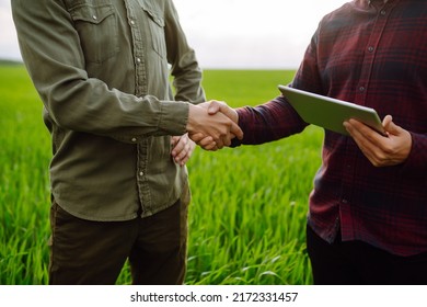 Two Farmers Making Agreement With Handshake In Green Wheat Field. Agricultural Business.