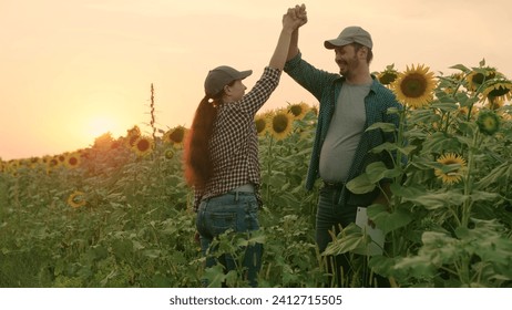 Two farmers, man, woman, shake hands tightly. Agreed. Agricultural business concept. A farmer and businessman are talking in sunflower field, making deal, using tablet. Growing food. Workmates