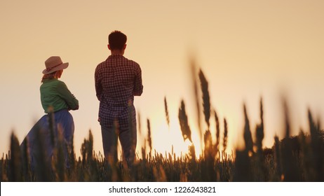 Two farmers man and woman standing in a wheat field watching the sunset. Lower view angle