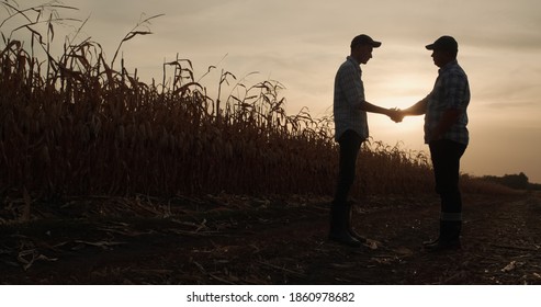 Two farmers shake hands, stand on the road between fields of corn at sunset