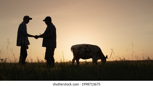 Two farmers shake hands, stand on the pasture where cows graze. Deal in agro-business concept - Shutterstock ID 1998713675
