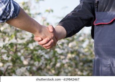 Two farmers shaking hands in front of blossoming fruit trees in background