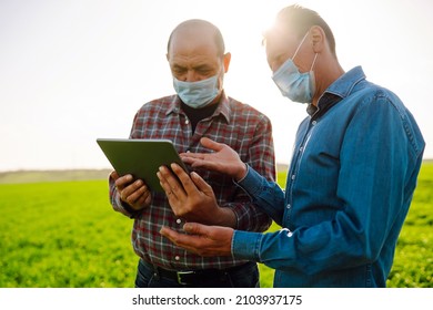 Two Farmers In Sterile Medical Masks Discuss Agricultural Issues On A A Green Wheat Field. Farmers With Tablet In The Field. Smart Farm. Agro Business. Covid-19.