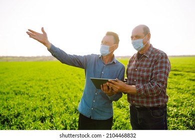 Two Farmers In Sterile Medical Masks Discuss Agricultural Issues On A A Green Wheat Field. Farmers With Tablet In The Field. Smart Farm. Agro Business. Covid-19.