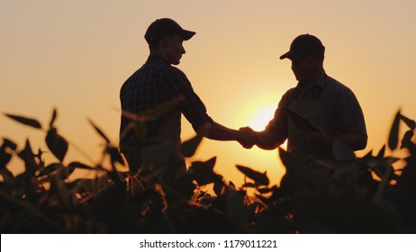Два фермера разговаривают на поле, а затем пожимают руку. Использование планшета